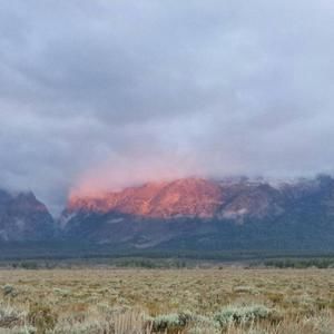 Meet your Posher, Necie